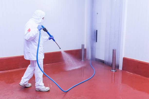 Best Graffiti Removal  in Congers, NY