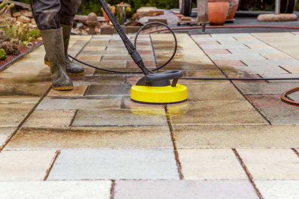 Best Animal Enclosure Cleaning  in Congers, NY
